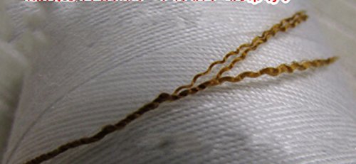 Hilo de coser poliéster 100% marrón 1914 yd miniatura 3