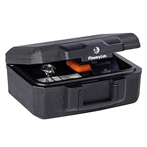 SentrySafe Fireproof Money Safe with Key Lock, Black Lock Box with Portable Carrying Handle for Travel, Exterior: 14.3 in. W x 11.2 in. D x 6.1 in H, 1200