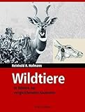 wildthings  Wildtiere in Bildern zur Vergleichenden Anatomie