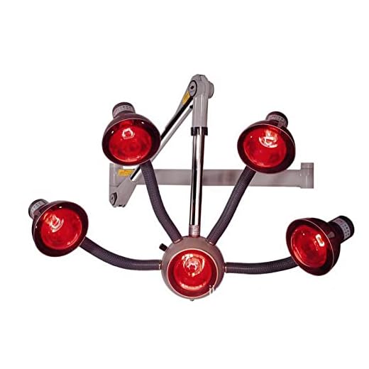 5 Head Salon Hair Steamer, Wall Mounted Infrared Hair Dryer Color Processor Accelerator Heater Lamp, Professional Perming Dyeing Beauty Treatment Equipment
