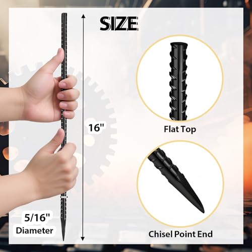 View 3