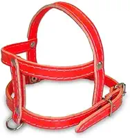 Coleira Peitoral de Couro N° 4 Doctor Animal Para Cães 68 cm X 1,9 cm