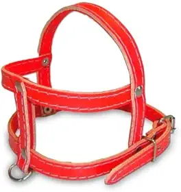 Coleira Peitoral de Couro N° 4 Doctor Animal Para Cães 68 cm X 1,9 cm