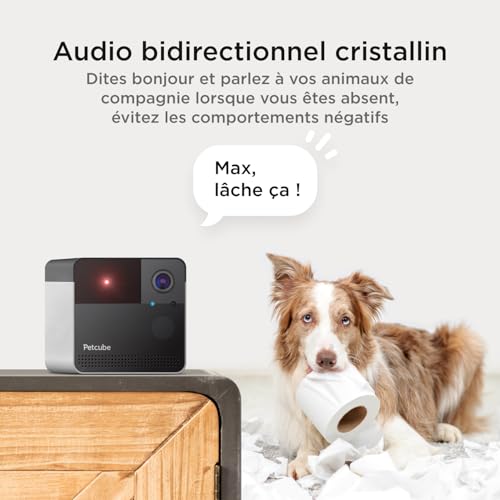 Caméra Wi-Fi Petcube Play 2 avec alertes IA et audio bidirectionnel - 7