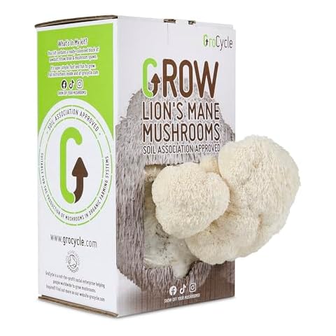Grow Your Own Lion's Mane Mushroom Kit Cover
