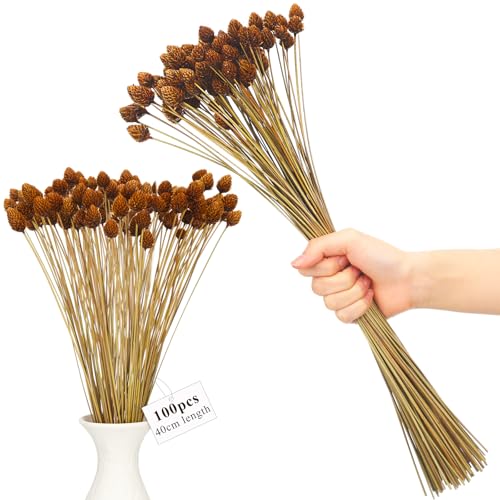 Willbond dried pine cone flowers with stems