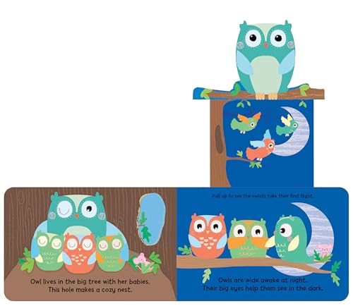 image for Woodland Babies: An Interactive Pull-Tab, Seek-and-Find Adventure for 