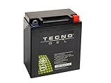 virago 535 vergaser reparatursatz ✅ 𝗟𝗔𝗡𝗚𝗘 𝗟𝗘𝗕𝗘𝗡𝗦𝗗𝗔𝗨𝗘𝗥 - Im Vergleich zu alten Blei-/Flüssigsäurebatterien haben unsere TECNO-GEL Premium Motorradbatterien eine doppelte Lebensdauer (bis zu 1000 Ladezyklen), sind auslaufsicher & in jeder Lage einbaubar. Jetzt 100% Power, 100% Qualität mit TECNO-GEL sichern!