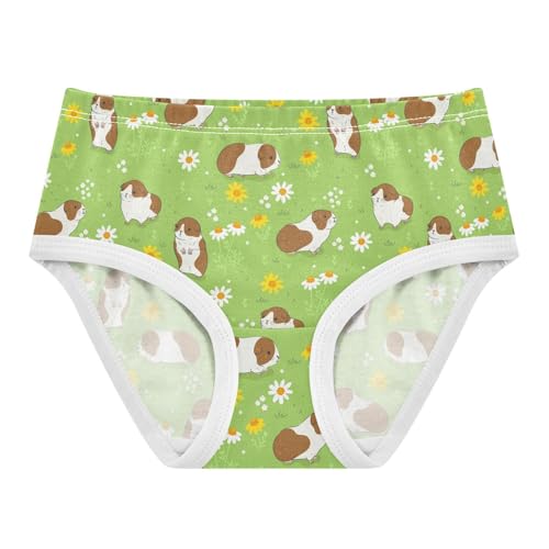 Girls' Underwear Guinea Pig Cotton Stretch Comfort Toddler Panties