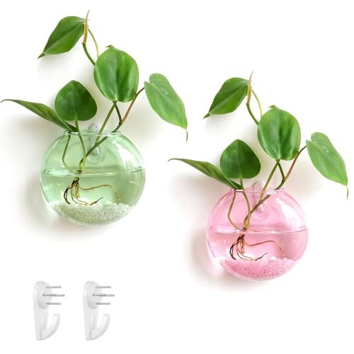 LemonRoad 2 Pcs Wall Hanging Glass Planter Gifts for Plant