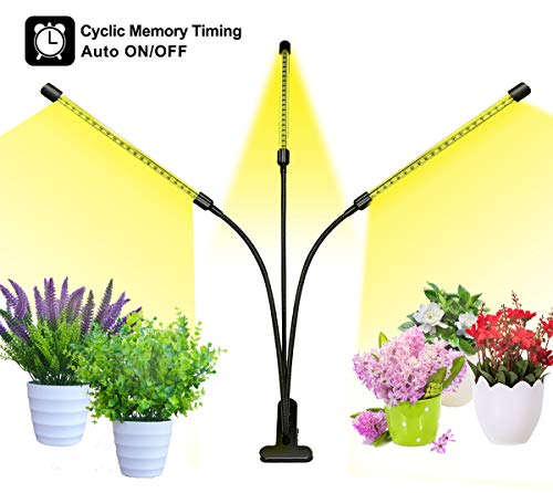 Best Clip Lamp For Plants