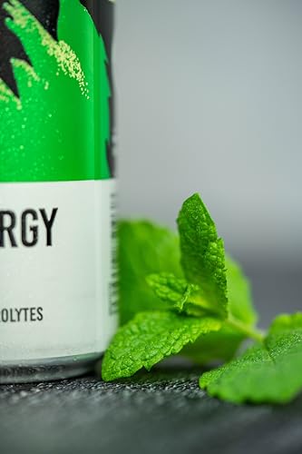 TENZING Natural Energy Drink, Plant Based, Vegan, & Gluten Free Drink, Lime & Mint, 250ml (Pack of 12) - Packaging may vary