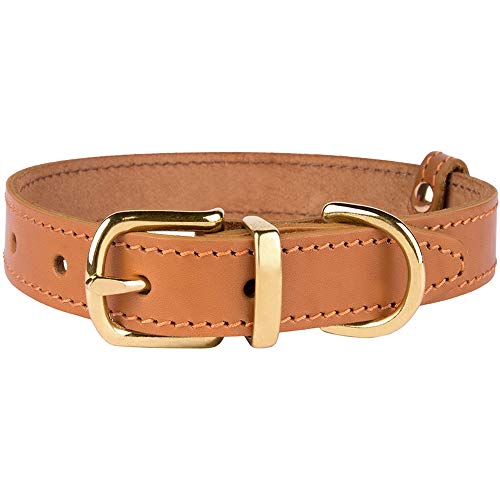 Bronzedog Leather Dog Collar With Buckle Durable Basic Pet Collars For Small Medium Large Dogs Puppy Cat Kitten (Neck Size 17" - 21", Light Brown) #TOP2