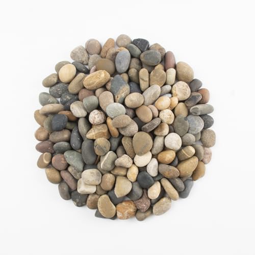 40 LBS Natural Pebbles - 1/2-1 inch Natural River Stones, Screened Decorative River Rocks for Landscaping, Garden Pathway, Plant Stones, Craft Walkways, and Outdoor Decorative