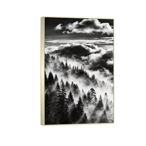 Tableau arbre nuages 3 noir et blanc paysage en toile 60x90cm avec son élégant cadre argenté