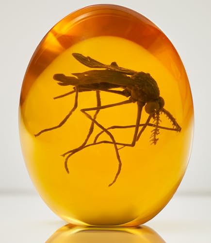 VEOJEIN Jurassic 3D Mosquito in Amber Resin | True 3D Original Design Realistic Flat Bottom Shaped | Measures 3.3 Inches Tall Dinosaur DNA Replica World | Collectable Prop | Cane Mount | Paper Weight