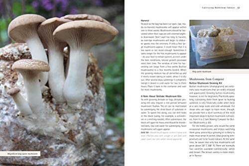 Home-Grown Mushrooms from Scratch: A Practical Guide to Growing Mushrooms Outside and Indoors