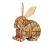 Totority 木製 パズル 男の子向け ジグソーパズル 大人向け おもちゃ 男の子向け パズル 向け パズル 用 パズル 木製 パズル 向け 竹製