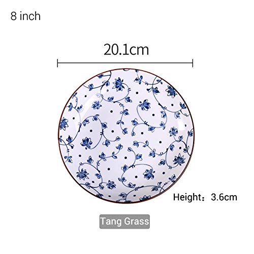 Gegong 4 Pack Blue And White Porcelain Dish Serving Plates Floral Dinner Shallow Plates Appetizer Salad Dessert Snack Plate (8 Inch,Different Patterns) #TOP1