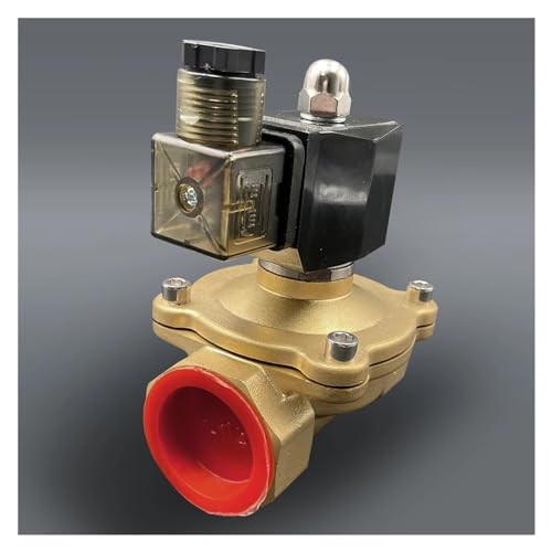 Électrovanne 2 pouces Laiton robuste et joint Viton AC24V anti-fuite - 3