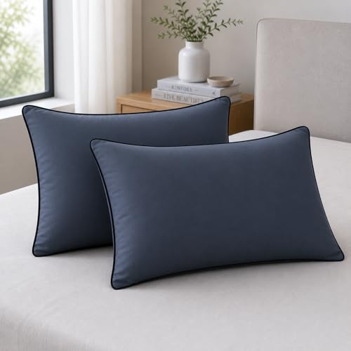 Image of AYKA Premium Microfiber Pillow for Sleeping | Super Soft & Fluffy Bed Pillow | 100% Virgin Microfiber Filling | Hypoallergenic, Breathable | Ideal for All Sleeping Positions 16x24 | Grey | Set of 2