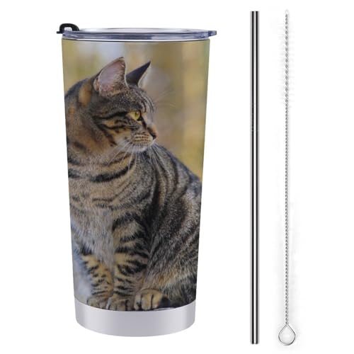 L   XeX}OJbv |[^u 600ml ۗ ۉ Wt ^u[ 򂪗e d\ 킢 ڂȂRbv sԗp