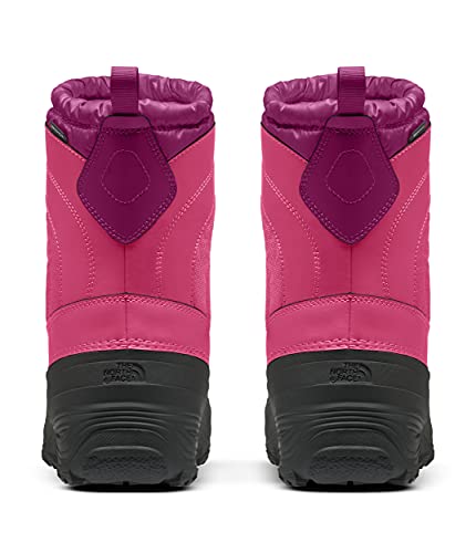 The North Face Alpenglow IV Kids Winter Boots #TOP16
