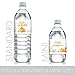 Orange Little Pumpkin Baby Shower Water Bottle Labels, Fall Pumpkin Gender Reveal, Waterproof Wrappers - 20 Count