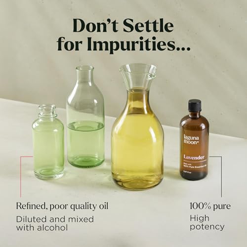 eo Set Travel + 20 - Image 6