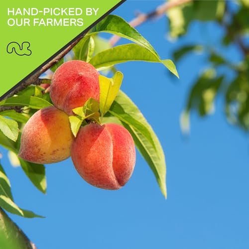 NUT CRAVINGS - Dried California Peaches, No Sugar Added, Unsweetened (8oz, 1 Pack) Bulk Dry Fruits Packed Fresh in Resealable Bag - Sweet Healthy Snack, Naturally Grown, Vegan, Kosher