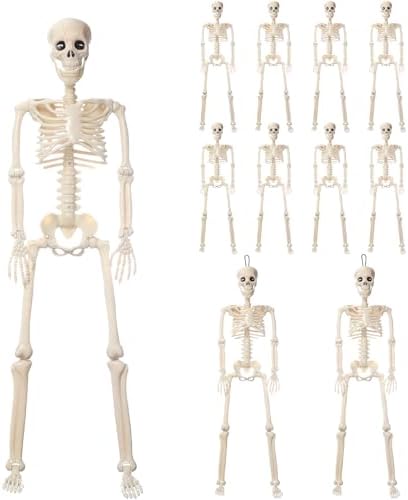 412X0DvOl1L._AC_ VioraWhite 11 Stück Halloween-Skelett-Dekorationen, realistische Ganzkörper-bewegliche Gelenke, Halloween-Kunststoff-Skelett für Friedhof, Hof, Innen- und Außenbereich, Party-Dekoration