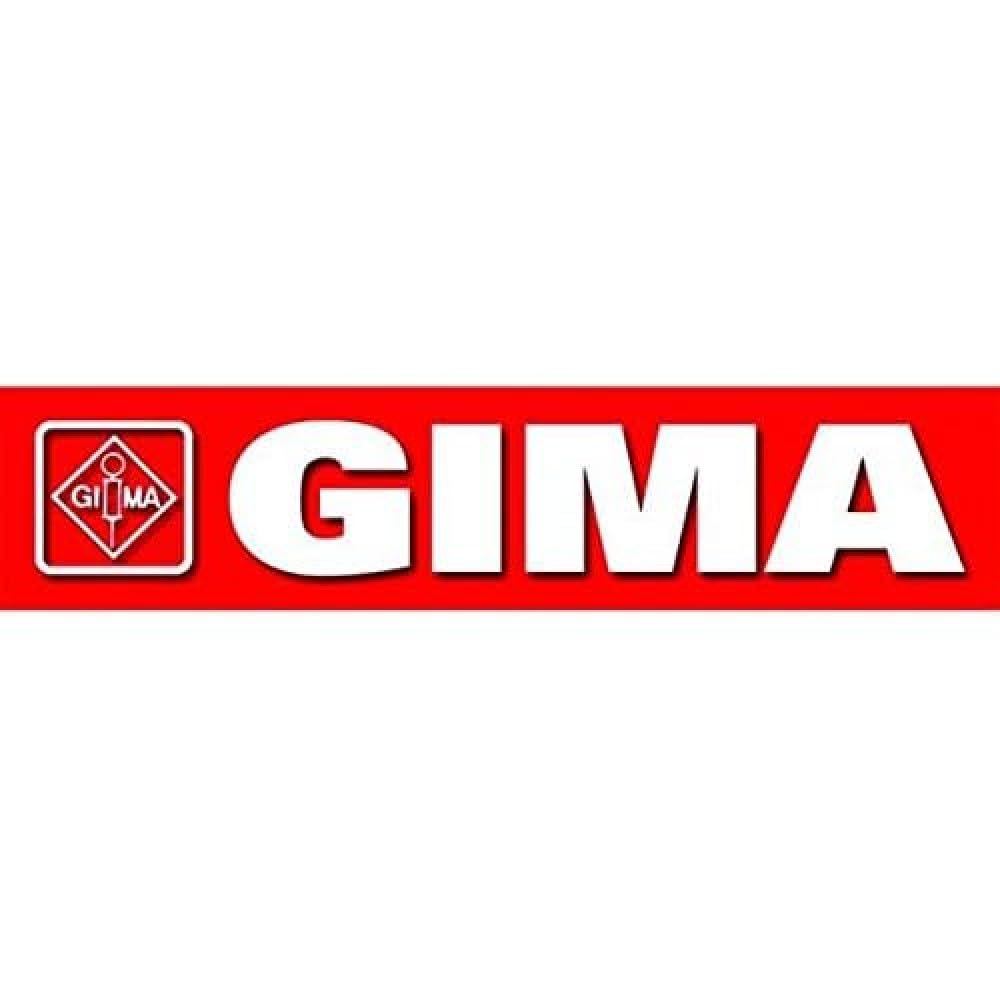 Gima 35131 - Cable Ecg para Cód. 35130 Ecg Holter y Software