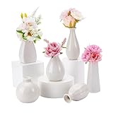 NBEADS 6 Stück Mini Keramik Blumenvase, 6 Styles Rustikale Deko Vase Moderne Bauernhaus-Dekoration Weiße Schlichte Kleine Vasen Für Blumen Kleine Pflanzen Florale Esszimmer Dekoration, 43~65x70~100 mm