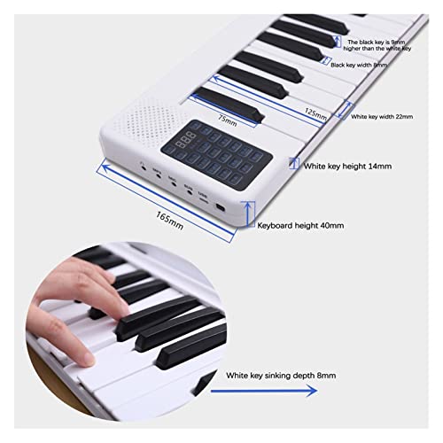 KERREY Piano Electrique Pliable 88 Touches Piano Pliano Piano Numérique Piano Multifonctionnel Piano pour Le Piano… - Les Beatles, Paul McCartney, John Lennon, RIngo Starr, George Harrison KERREY Piano Electrique Pliable 88 Touches Piano Pliano Piano Numérique Piano Multifonctionnel Piano pour Le Piano… – Image 4