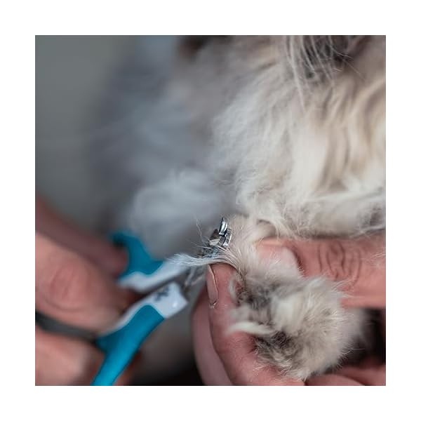 Mr. Pen - Katzennagelknipser, Katzennagelschneider, Katzenkrallenschneider, Kätzchen-Nagelknipser, Katzen-Nagelknipser für Nägel, Haustier-Nagelknipser für Katzen, Katzen-Nagelschneider – Bild 7