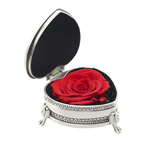 Rose Flower Gifts Long Lasting Preserved Red Rose Present for Women Grandma Mom Wife, Romantic Gifts for her on Valentine s Day Mother s Day Birthday Anniversary Christmas(Red Rose)