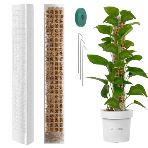 Vicloon Plastic Moss Poles, 6PCS, 24inch, Semi-cylindrical, Transparent, Plant Support Stakes for Climbing Plants