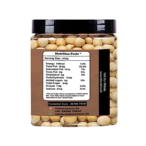 Image of NatureOnus Macadamia Nuts 100gms | No Added Preservatives, Gluten-Free | Additive-Free Snack, Grade A, Crunchy, perfect for guilt-free snacking
