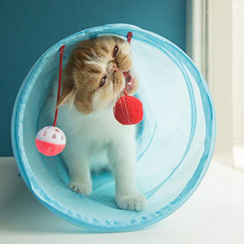 YQHWLKJ Katzentunnel Spielzeug lustiges Haustier 2 Loch Spielrohr Ball Faltbare Falten Kätzchen Spielzeug Welpe Frettchen Kaninchen Spielen Hund Tunnel Rohr