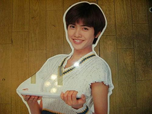 貴重！】内田有紀 ロッテリア垂れ幕