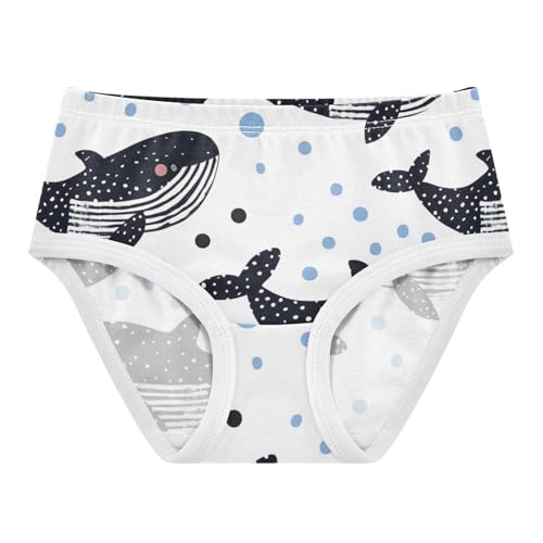 GuoChe Underwear Underwear for Daily Wear Comfort Color for Toddler in Sizes 2T,3T, 4T, 5T, 6Y and 8Y