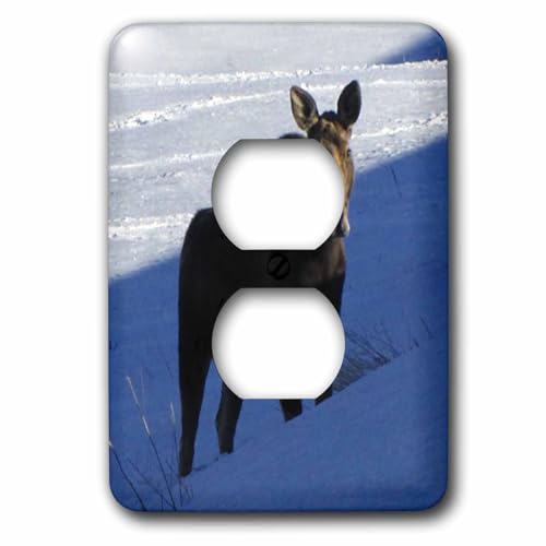 Moose Vache debout dans la neige pour un salon style chalet de montagne et ambiance cocooning