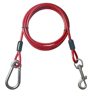 5FT Short Leash for Dog Training – Heavy Duty Dog Tie Out Cable for Small to Medium Dogs – Chew-Proof Dog Tether for Indoor and Outdoor Use – Perfect for Yard, Potty Train, Camping – Red
