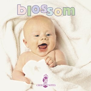 Audio CD Bedtime Songs for Babies: Blossom Book