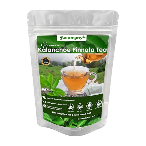BOTAMONY 50 Tea Bags Kalanchoe Pinnata Tea Leaf of Life Plant Leaves in Filter Bags Single-Ingredient Dried Plant Material Natural Botanical Leaves
