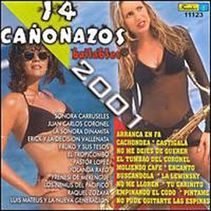 14 Canonazos Bailables 2001 [Audio CD] Various Artists