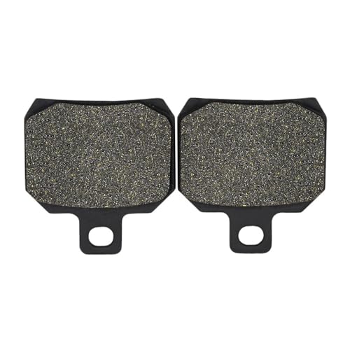 Plaquettes de frein arrière haute friction pour RSV 1000 R