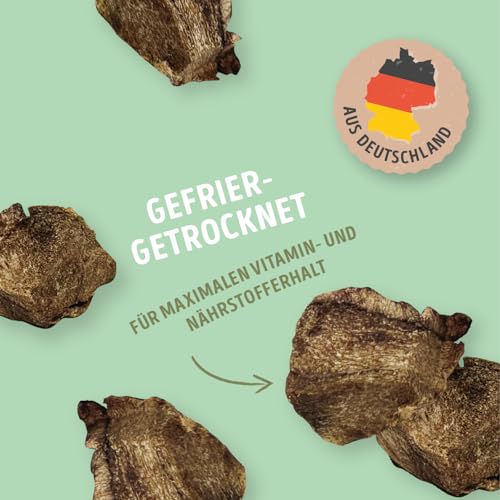 RiNa 100% Wildfleisch - Rohfutter für Hunde - 345g frisches Fleisch pro 100g - Natürlicher Geschmack und Nährstoffdichte - Gefriergetrocknet - 90g