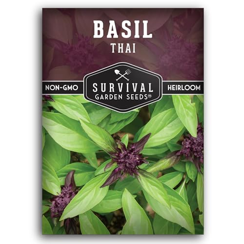 Thai Basil Seeds for Planting Survival Garden Seeds (1 Pack)