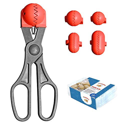 La croquetera Pack- Pelle multi-usages rouge  4 Moules interchangeables pour masse + Pack 20 plateaux conservation  100% espagnol?: patenté et fabriqué en Espagne